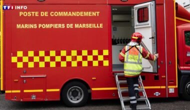 Marseille : un incendie dans une menuiserie se propage à deux appartements