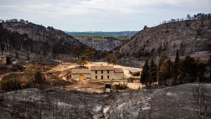 Une maison entourée par une végétation ravagée par l'incendie, le 6 août 2025 à Saint-Laurent-de-la-Cabrerisse (Aude). (CHARLES BARON / MAXPPP)