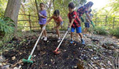 "Rien de mieux que de voir des élèves repartir apaisés": à Nice, comment ces professeurs s'appuient sur la nature pour enseigner