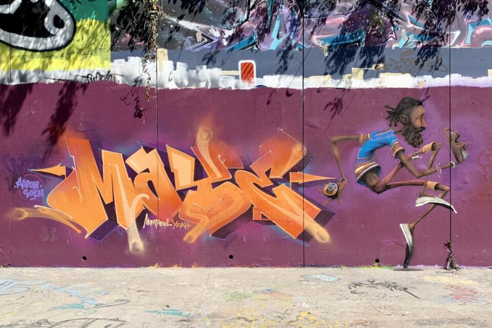 Une trace du passage de Maye dans le Verdanson à Montpellier.