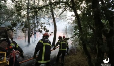 Feu de forêt à Paimpont : retour sur la mobilisation des sapeurs-pompiers d'Ille-et-Vilaine
