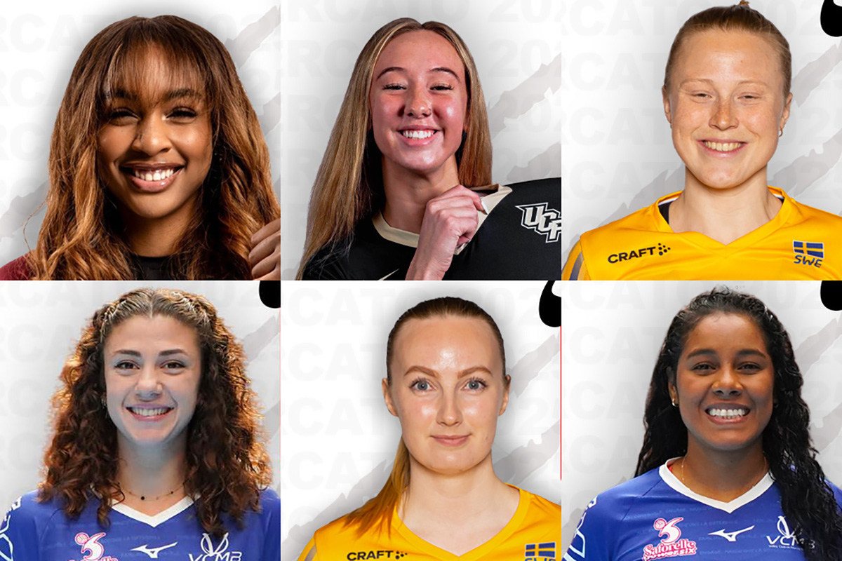Volley-ball : le mercato des Louves est bouclé