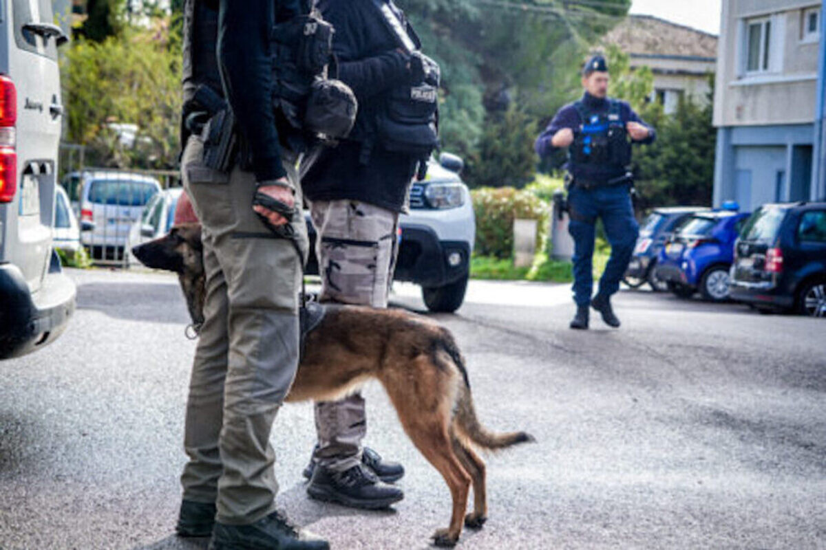 12 kilos de cocaïne et un arsenal, que cachait cet appartement vide ?