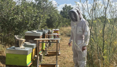 Près de Toulouse. Pour sauver ses ruches des frelons asiatiques, cet apiculteur utilise un système bien rodé