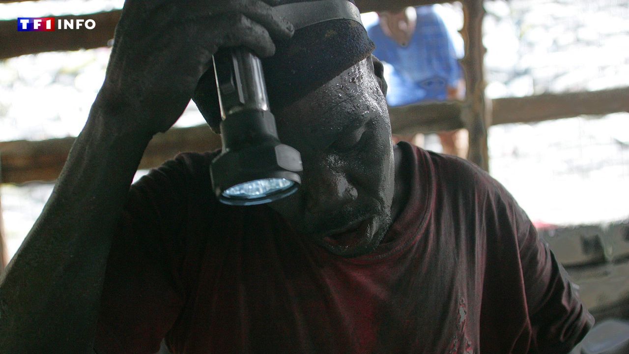 "Nous devons tous les sortir de là" : course contre-la-montre en Tanzanie pour sauver 21 mineurs ensevelis