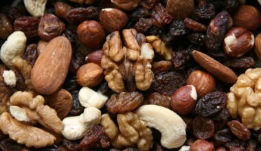Quels sont les fruits secs à éviter pour ne pas faire grimper son taux de cholestérol ?