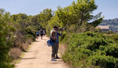 Observer la biodiversité des insectes pollinisateurs aux Salins