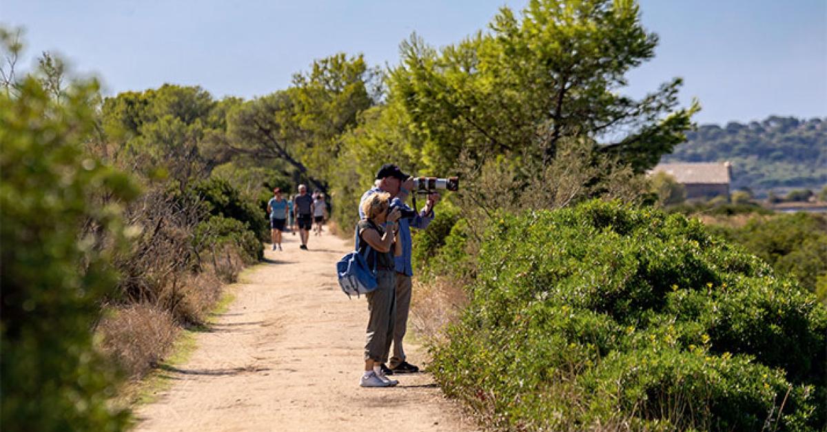 Observer la biodiversité des insectes pollinisateurs aux Salins