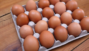 Leclerc, Carrefour… comment des œufs ukrainiens (non réglementaires) se retrouvent-ils dans nos rayons ?