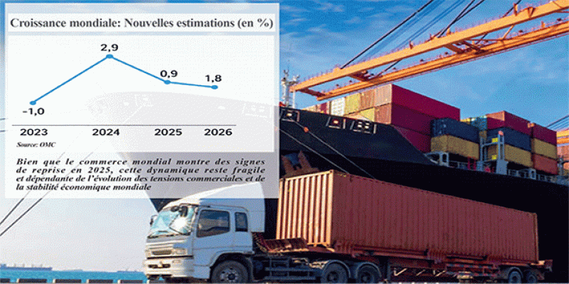 OMC: Le Maroc face aux défis du commerce mondial