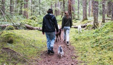 Une simple marche dans la nature recharge votre cerveau fatigué et les chercheurs ne comprennent pas pourquoi