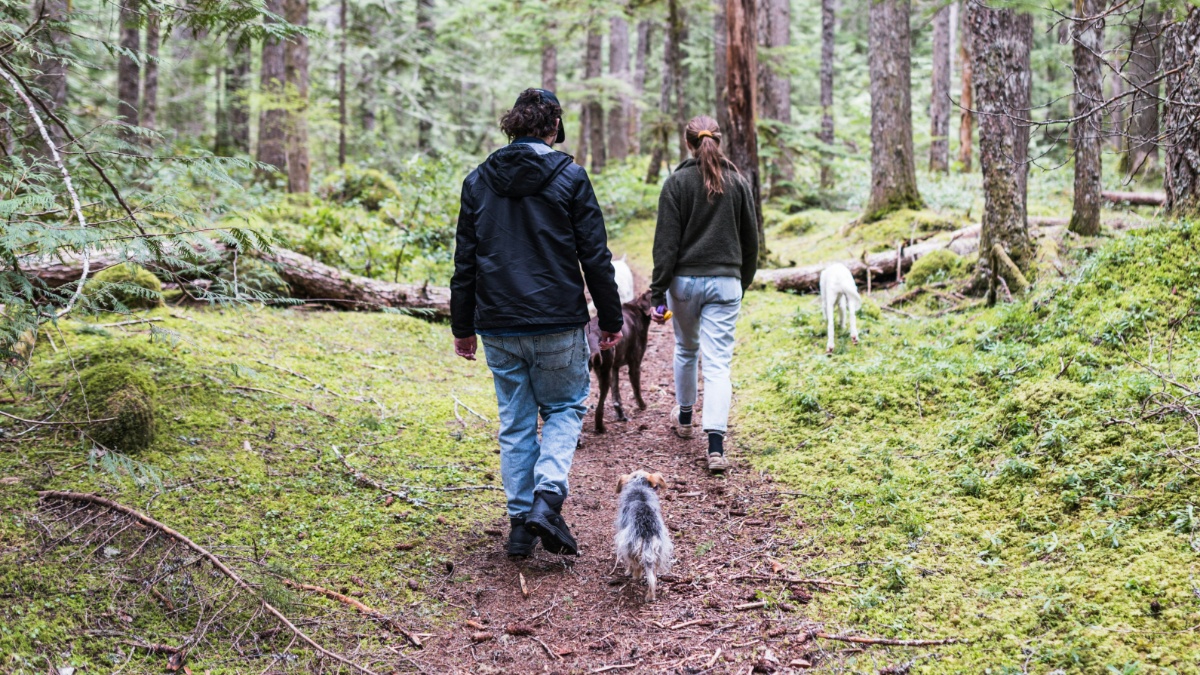 Une simple marche dans la nature recharge votre cerveau fatigué et les chercheurs ne comprennent pas pourquoi