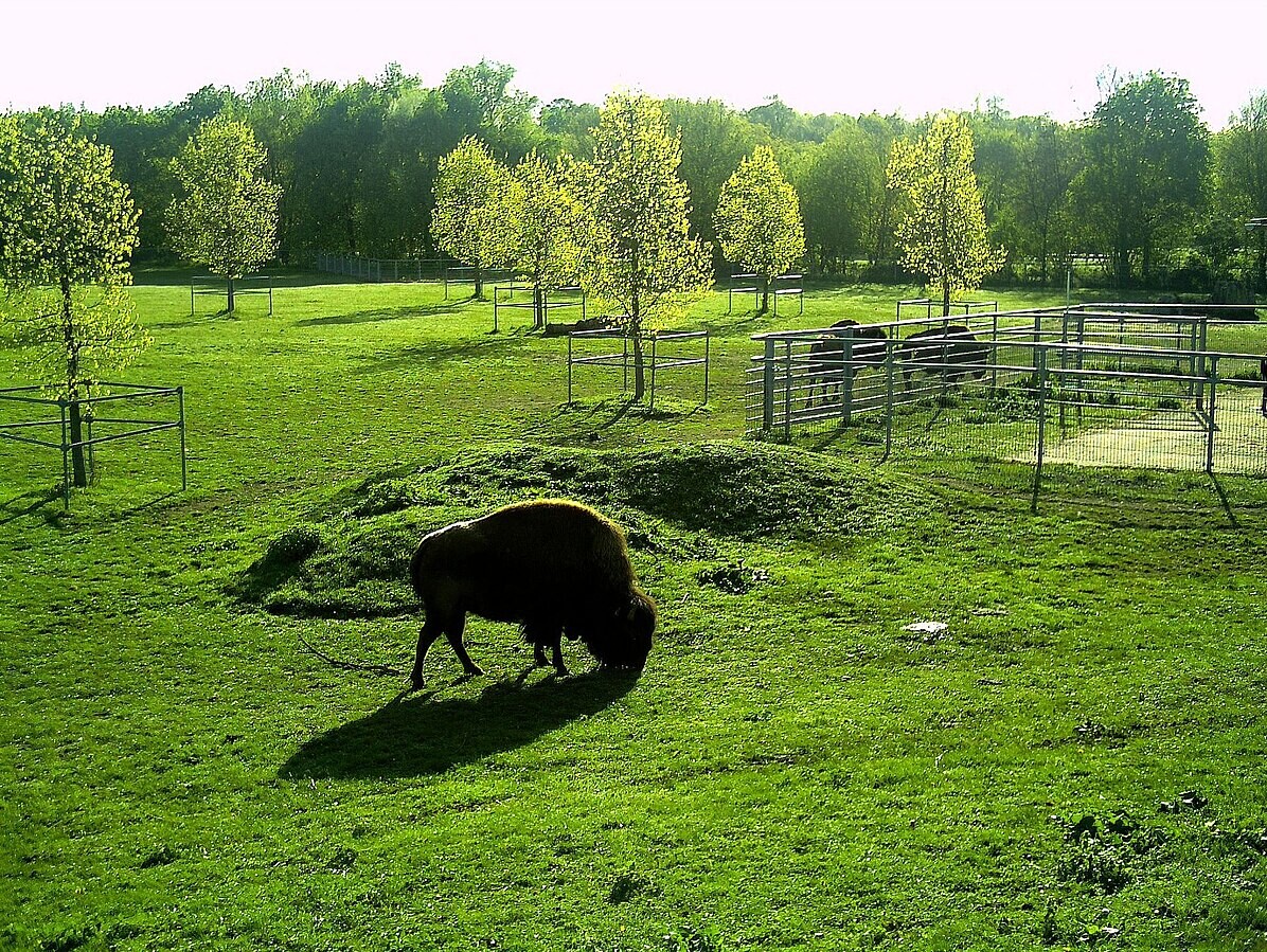 un parc animalier gratuit à découvrir non loin de Strasbourg