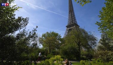 Pourquoi entend-on des bruits de cigale à Paris ?