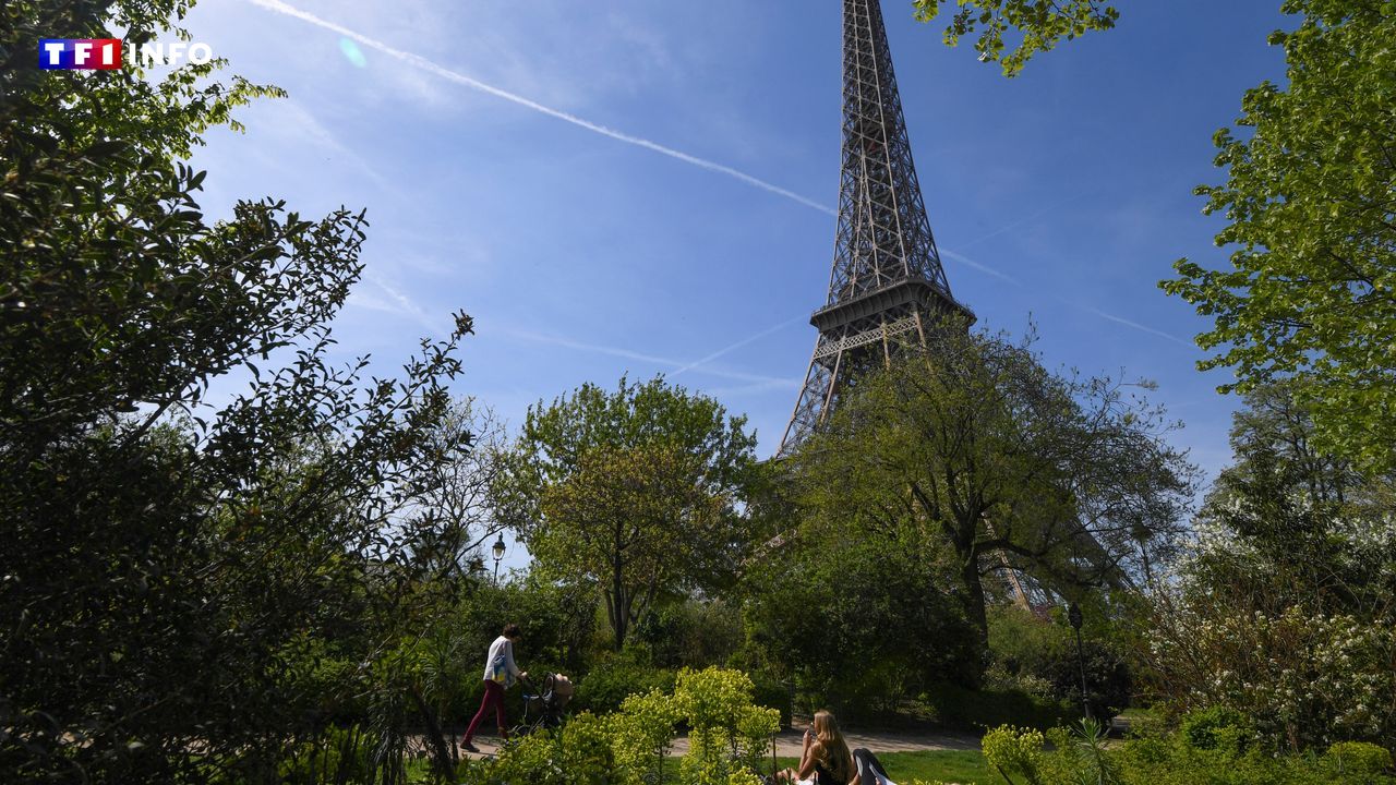 Pourquoi entend-on des bruits de cigale à Paris ?