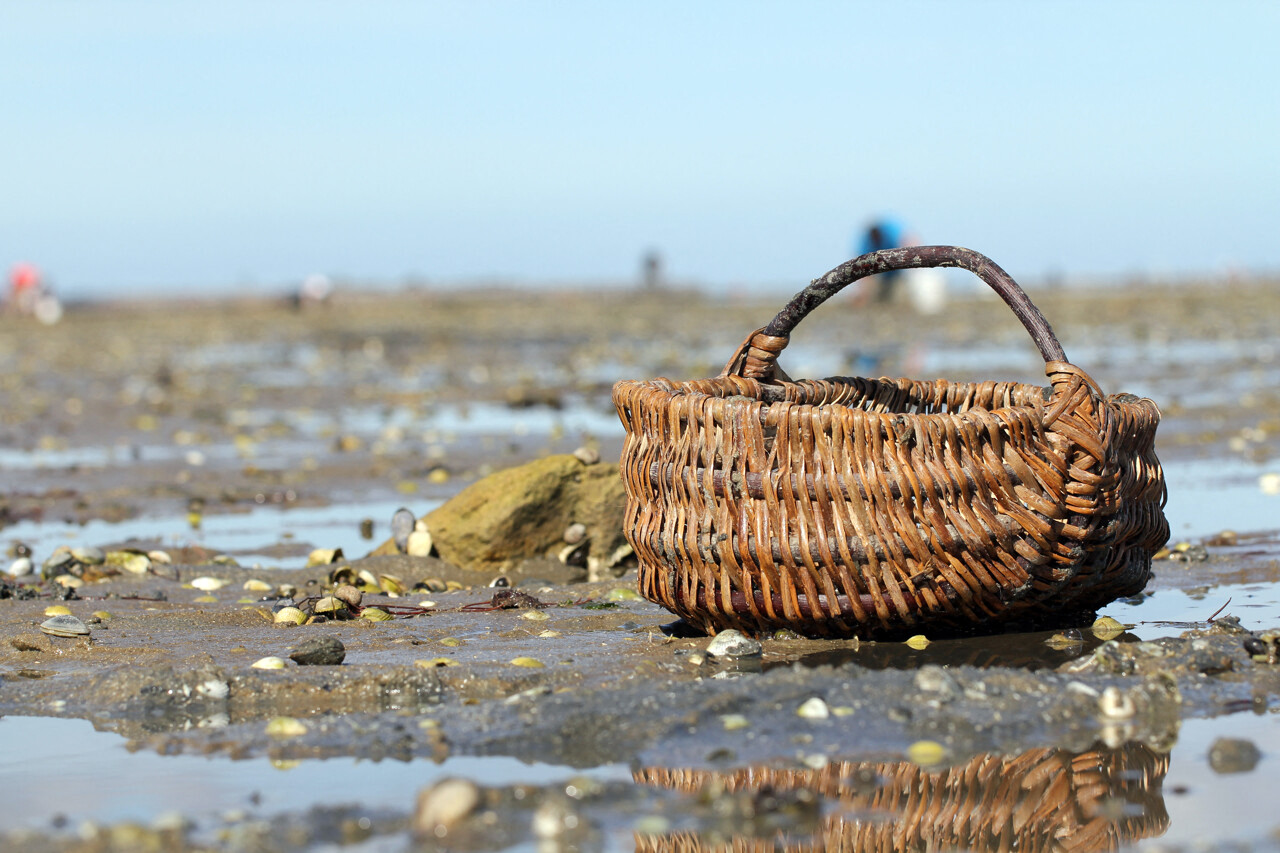 attention, des interdictions sont en cours sur ces plages de Seine-Maritime