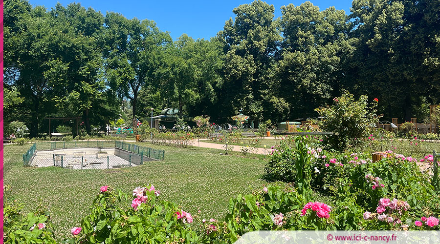 la première « Nuit de la Pép » pour sensibiliser à la biodiversité nocturne