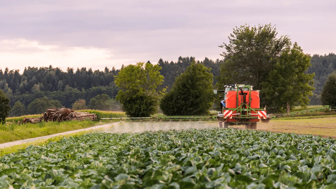 Pesticides