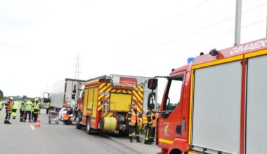 Bas-Rhin. Un septuagénaire décède après une sortie de route sur l'A35 à Dambach-la-Ville