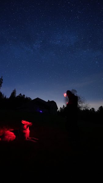 Kimenau Corentin Voyage à pieds avec son chien – la paix des chiens