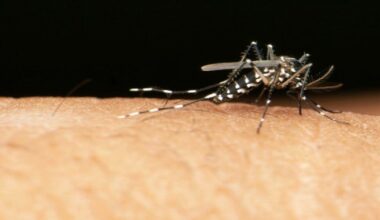 l'alerte est lancée sur les risques de propagation