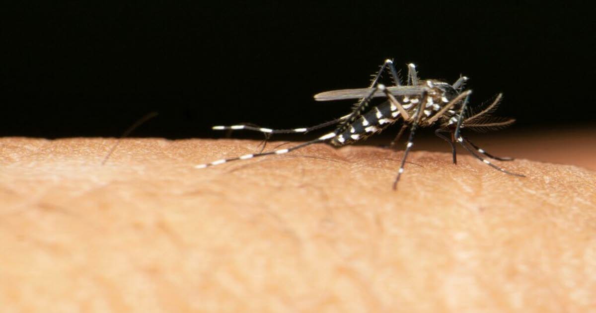 l'alerte est lancée sur les risques de propagation