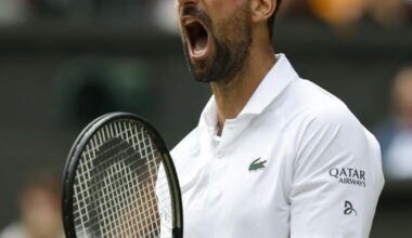 Football. Novak Djokovic, Felipe Massa et Kevin Magnussen investissent dans un club de Ligue 2
