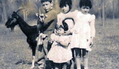 l'histoire d’un bidonville des années 1960 à Villeurbanne