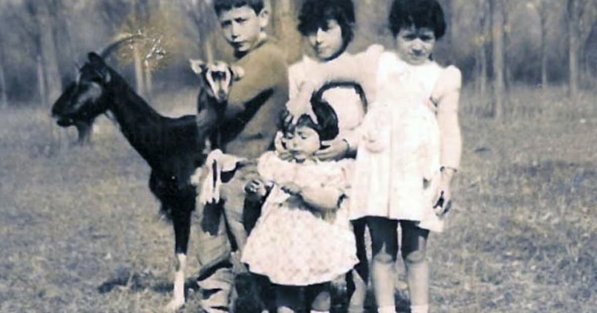 l'histoire d’un bidonville des années 1960 à Villeurbanne