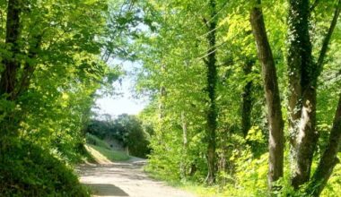 Frouard. Affouage : dernier mois pour s’inscrire