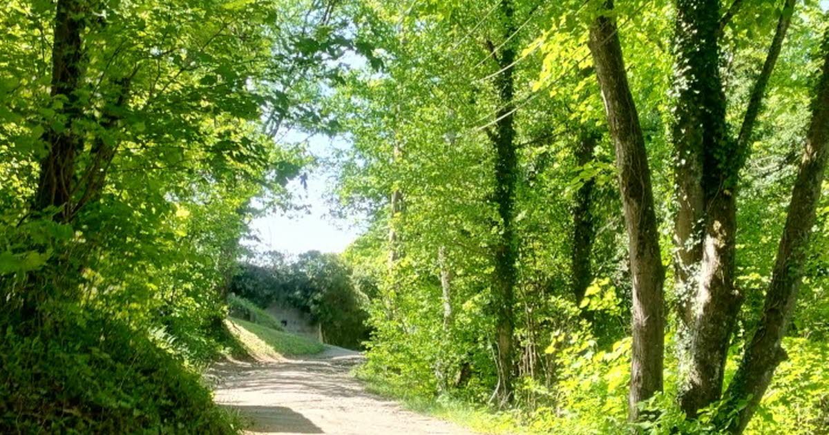 Frouard. Affouage : dernier mois pour s’inscrire