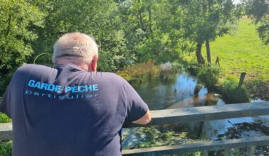 des poissons morts après une pollution près de Pont-à-Mousson
