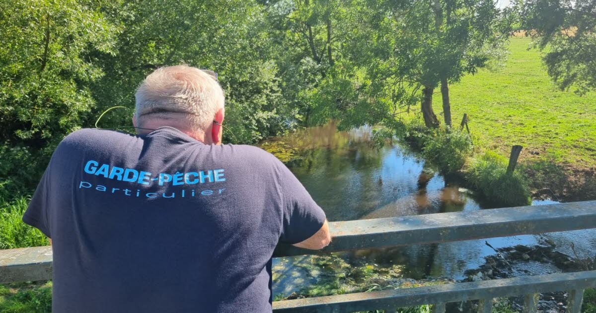des poissons morts après une pollution près de Pont-à-Mousson