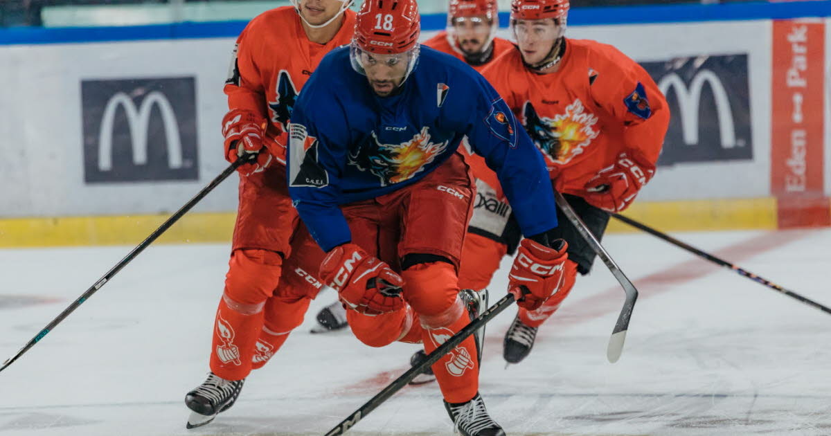 Hockey sur glace - Ligue Magnus. Brûleurs de loups de Grenoble : à moins d'un mois de la Ligue des champions, les choses sérieuses commencent