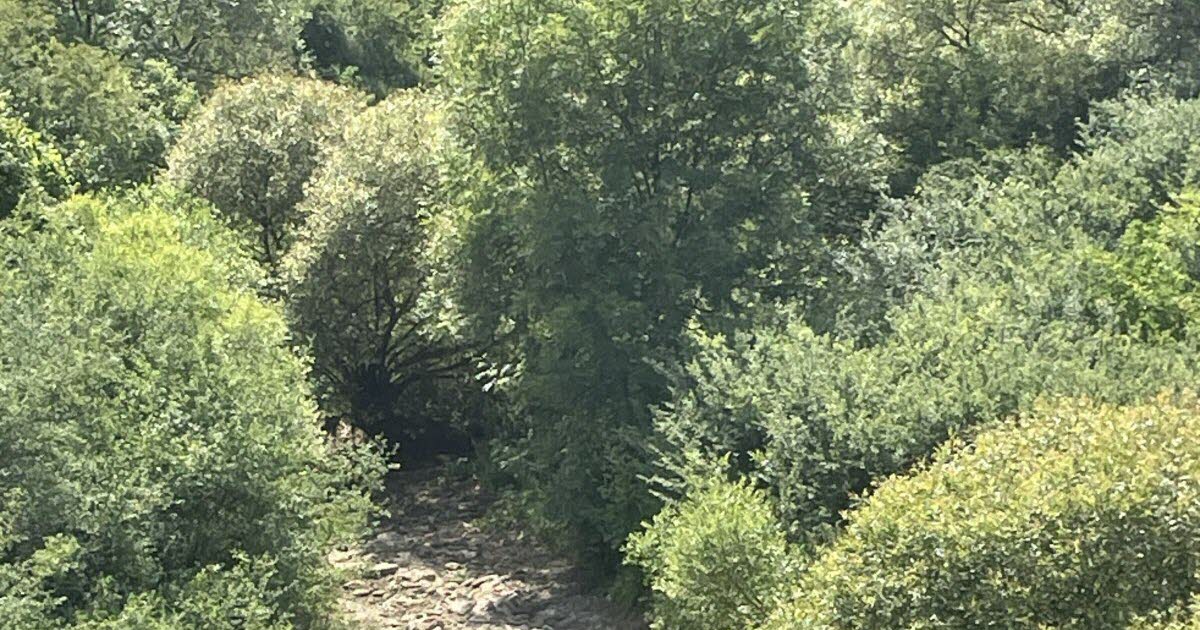 sécheresse persistante et vigilance accrue