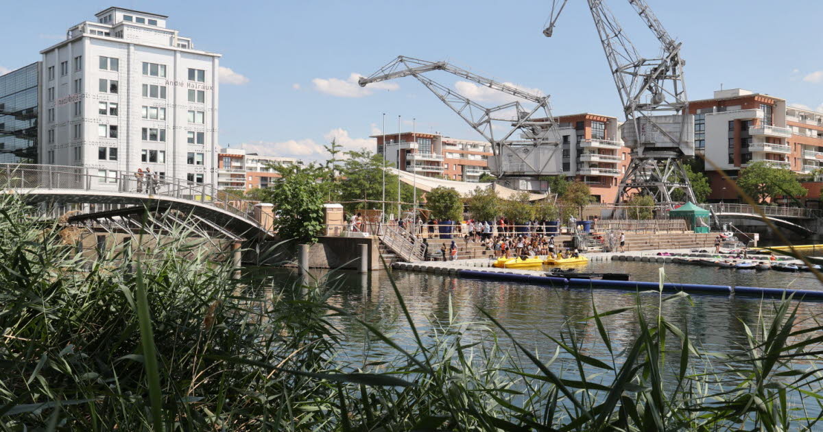 Strasbourg. Un premier plongeon dans l'Ill en 2026 ? L’étude sur la baignade naturelle bientôt bouclée