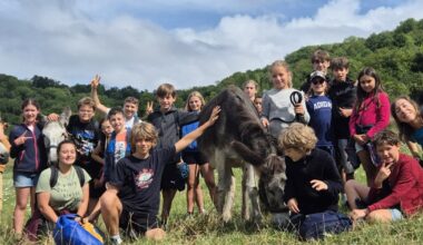 Eulmont. Un mois de juillet positif pour la Compagnie des ânes