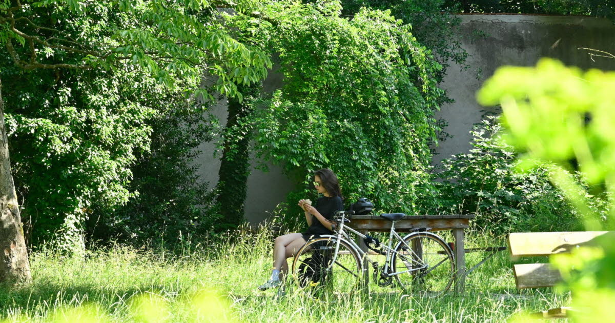 une halte gourmande au bout d’un monde au jardin Godron à Nancy