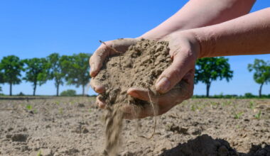 Réchauffement climatique. Juillet sur le podium des mois les plus chauds, sécheresse record en Europe