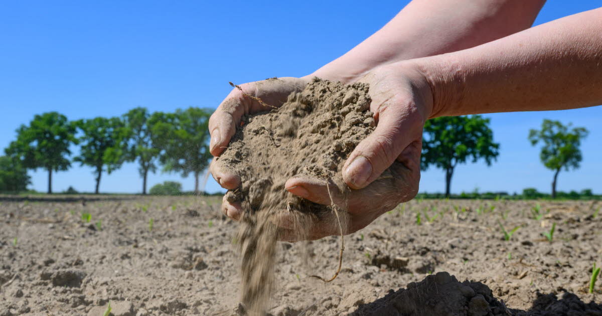 Réchauffement climatique. Juillet sur le podium des mois les plus chauds, sécheresse record en Europe