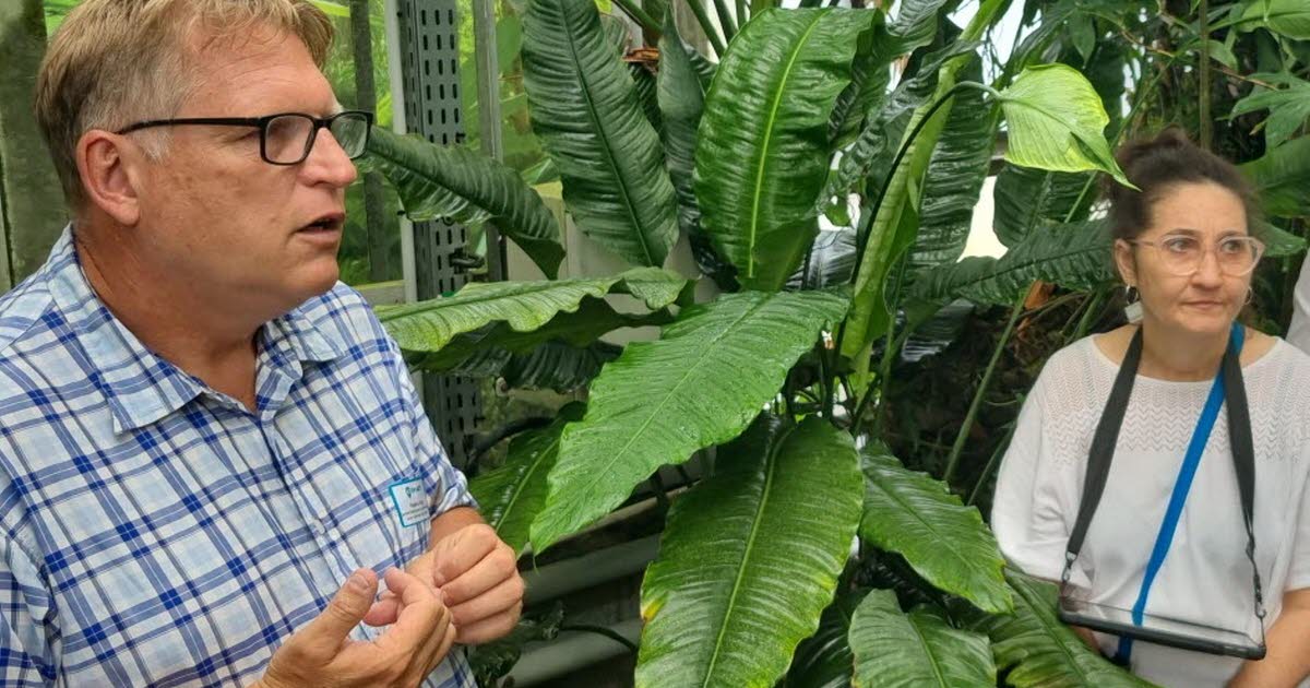 l’exposition phare du jardin botanique se poursuit