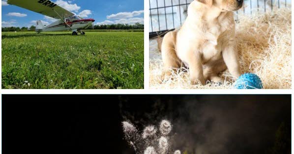 Loisirs. Le feu d'artifice de Madine, le jardin botanique en fête, des ULM à Chambley.. Neuf idées de sorties ce week-end en Lorraine