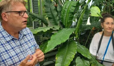 l’exposition phare du jardin botanique se poursuit