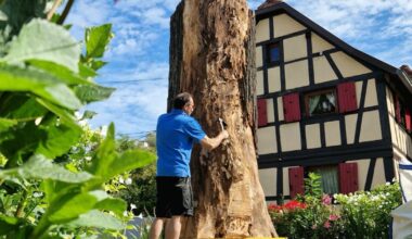 Ostwald. Le tronc de l’ancien tilleul de la Liberté de 1848 bientôt transformé en œuvre d’art