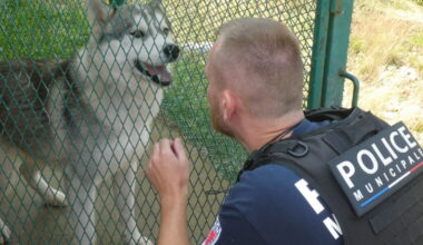 Firminy. La police municipale s’occupe des divagations d’animaux de compagnie