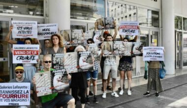 Grenoble. Une manifestation pour dénoncer l'industrie de la fourrure
