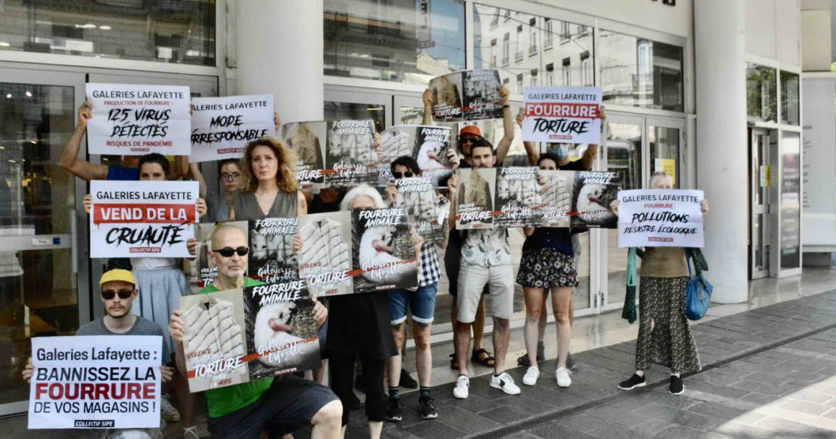 Grenoble. Une manifestation pour dénoncer l'industrie de la fourrure