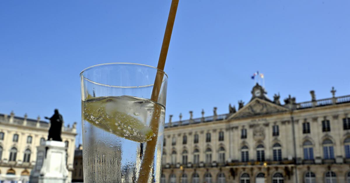 Meurthe-et-Moselle. Hébergements, animations, commerces... cet été 2025 semble être une bonne année pour le tourisme