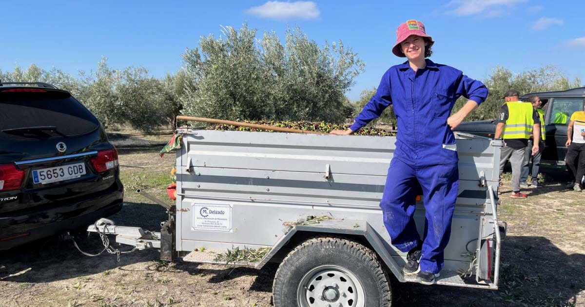 elle a tout plaqué pour produire de l’huile d’olive