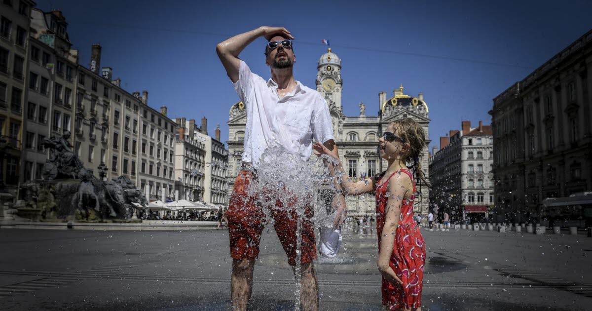 arrosage, écart de température… Toutes les réponses à vos questions